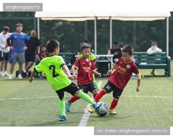 青少年足球培训借势火爆：从“玩转足球”到“未来球王”的转型之路